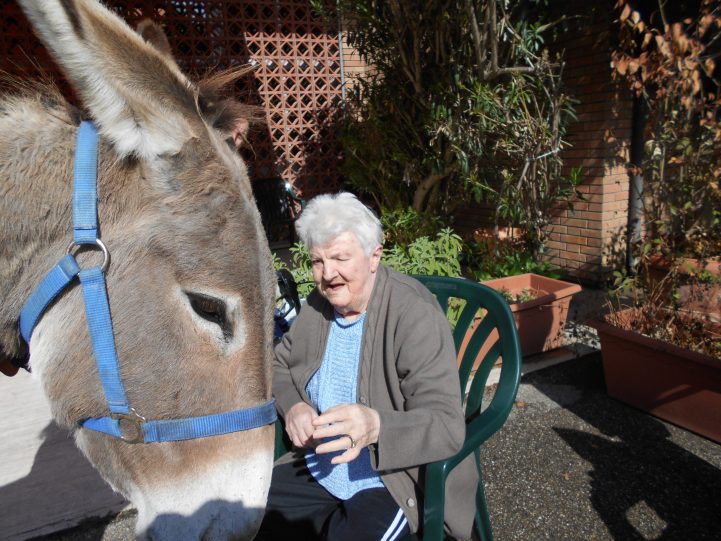 Pet teraphy con asini Casa Protetta "F.lli Bedeschi"