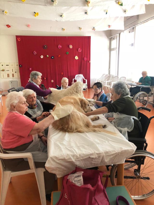 Pet teraphy con cani Comunità Alloggio "Silvagni"