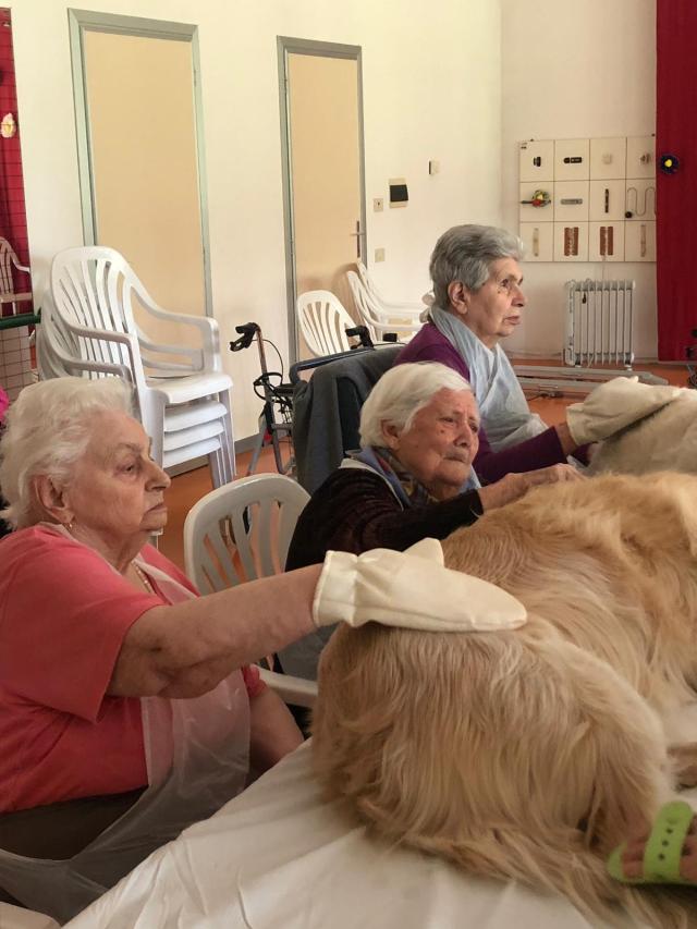 Pet teraphy con cani Comunità Alloggio "Silvagni"