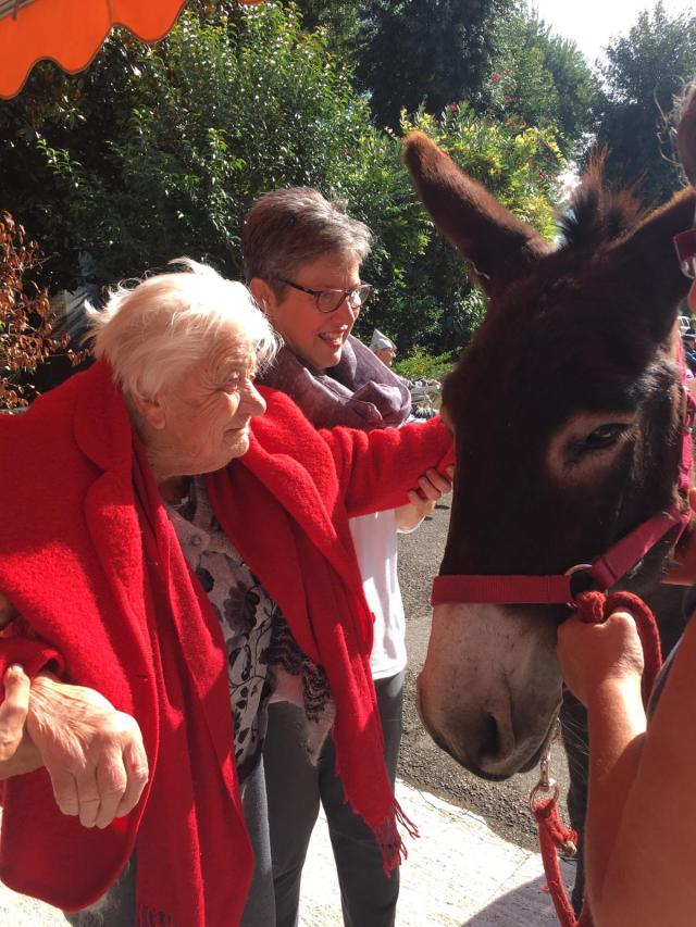 Pet teraphy con asini Casa Protetta "F.lli Bedeschi"