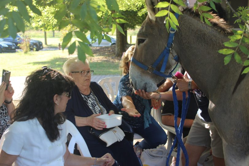 Pet teraphy con asini Comunità Alloggio "Silvagni"